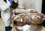 2 Day Mushroom Growing Seminar