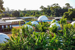 Halloween Getaway: A Night at Gratitude Garden Farm