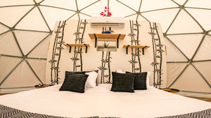 Welcome To Joy: Book Now!