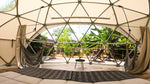 Welcome To Bliss: Book Now!