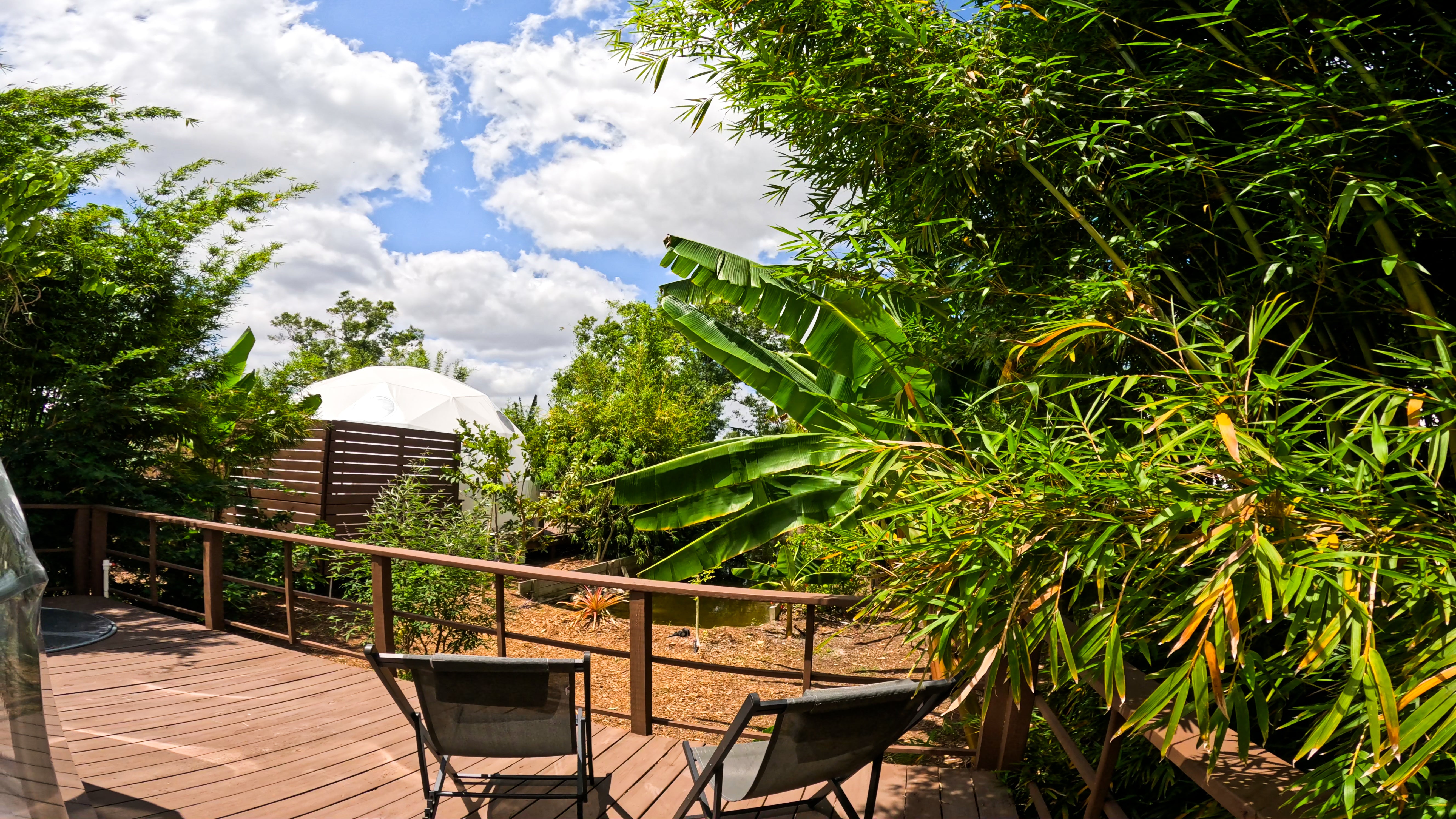 Welcome To Bliss: Book Now!