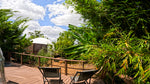 Welcome To Bliss: Book Now!