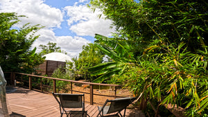 Welcome To Bliss: Book Now!