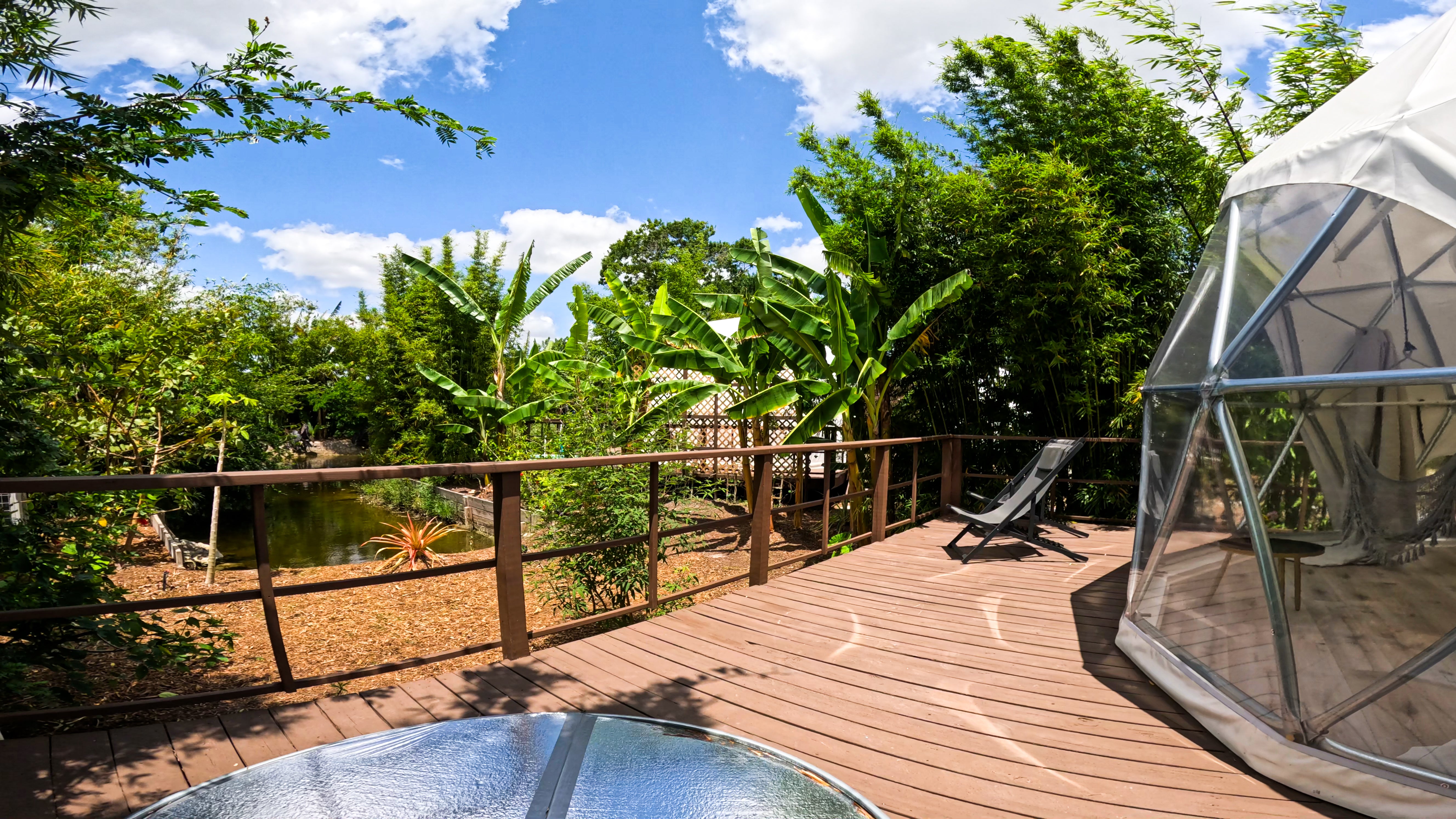 Welcome To Bliss: Book Now!