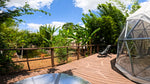 Welcome To Bliss: Book Now!