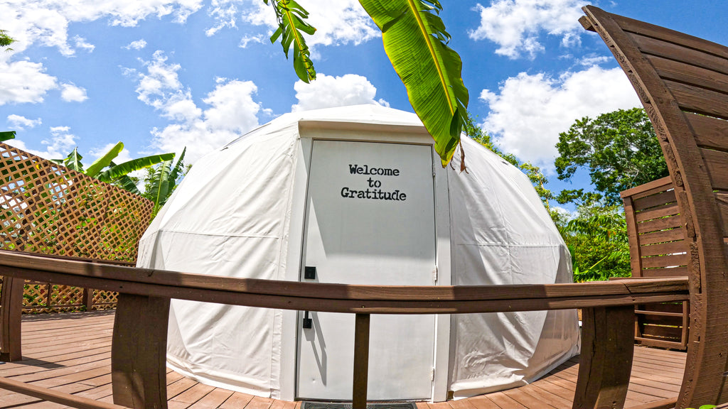 Welcome To Gratitude: Book Now!