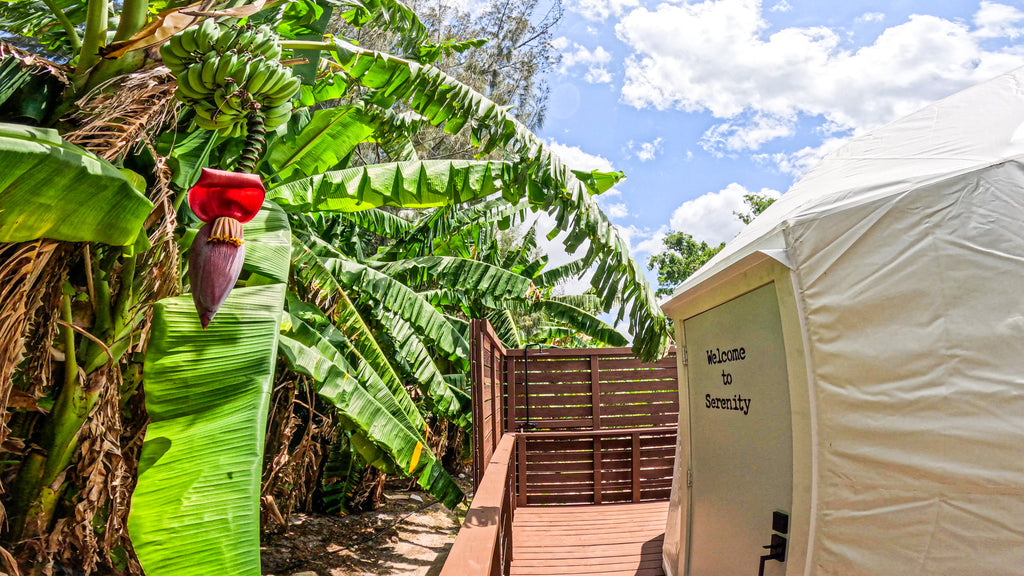 Welcome To Serenity: Book Now!