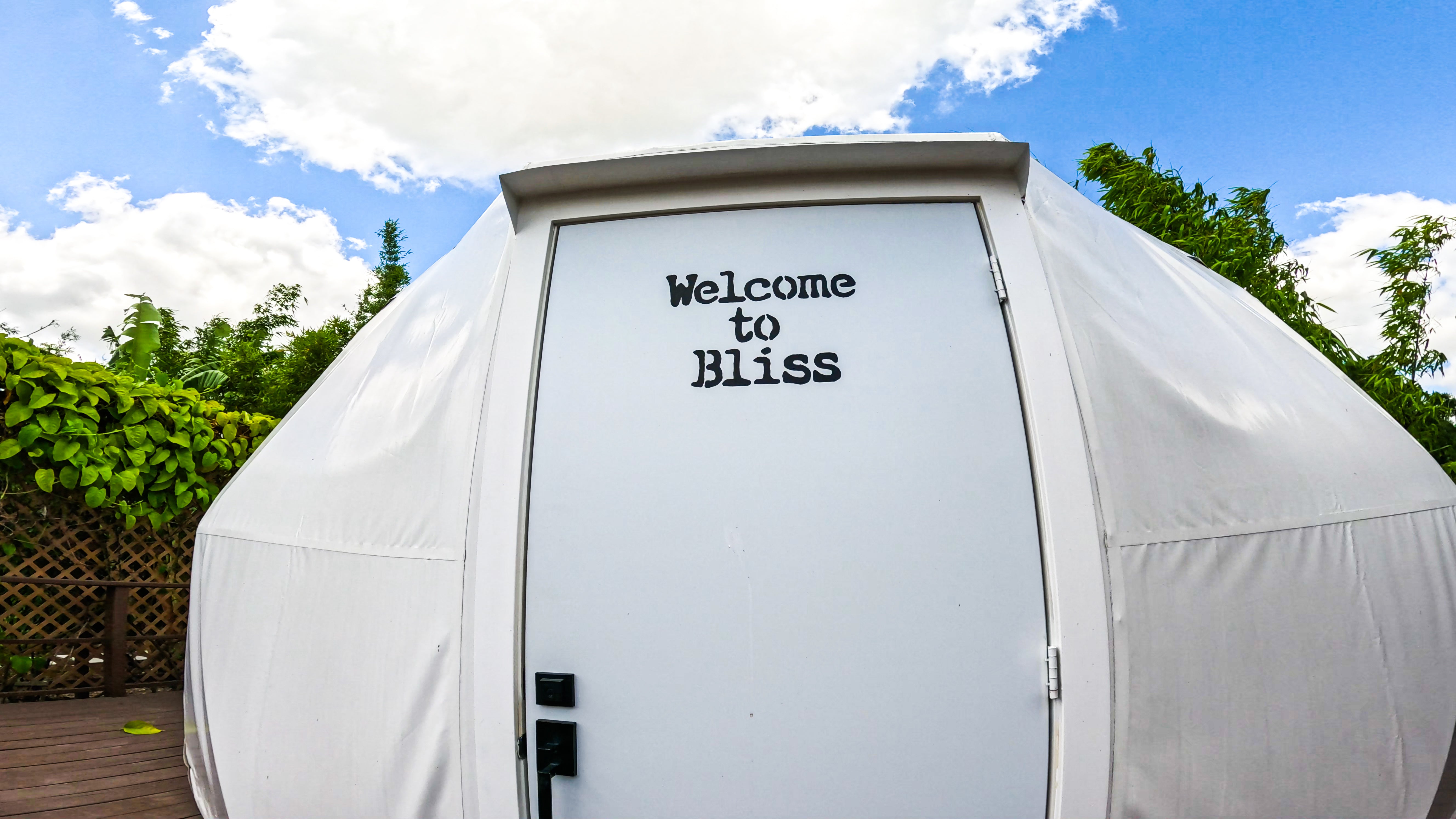 Welcome To Bliss: Book Now!