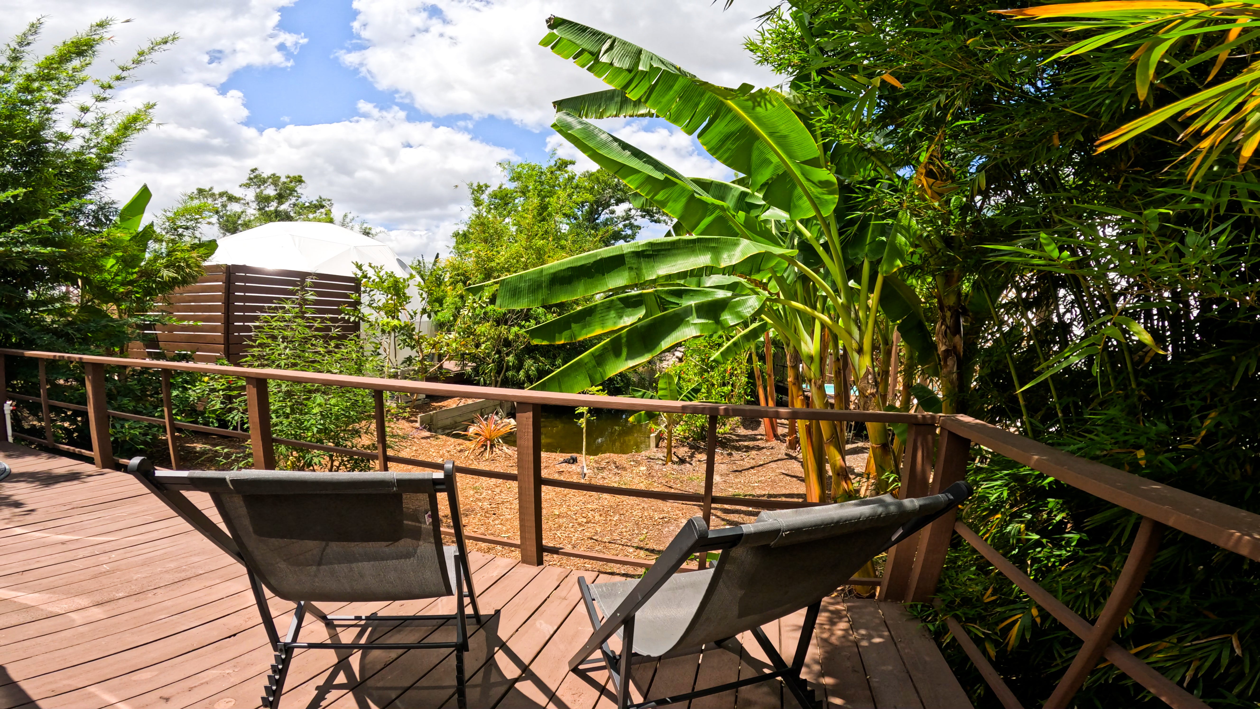 Welcome To Bliss: Book Now!