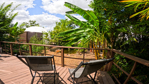 Welcome To Bliss: Book Now!