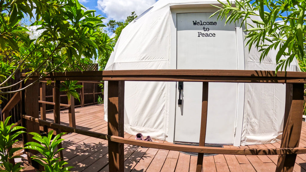 Welcome To Peace: Book Now!